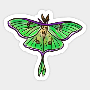 Luna Moth Sticker